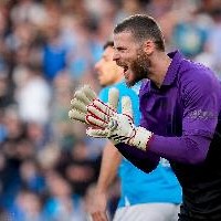 开云app-佛罗伦萨主席：德赫亚是个冠军球员&amp;他还年轻，可以留队再踢几年